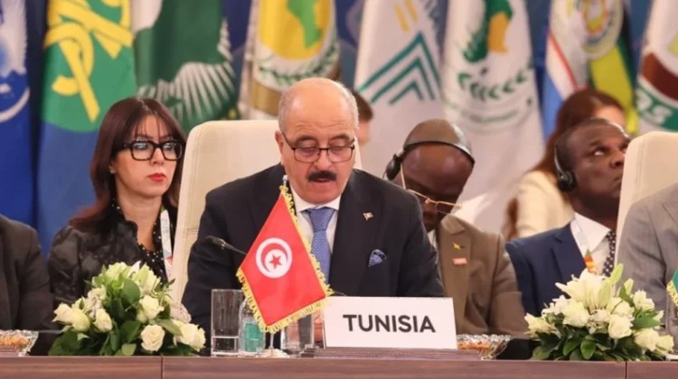 النفطي يدعو الدبلوماسيين إلى دعم تونس في الترويج لزيت الزيتون